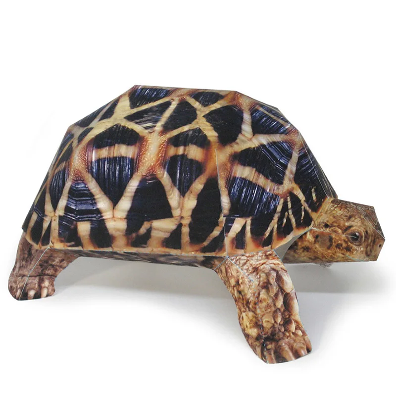 Art Craft With Cardboard - Estrella india tortuga modelo de papel