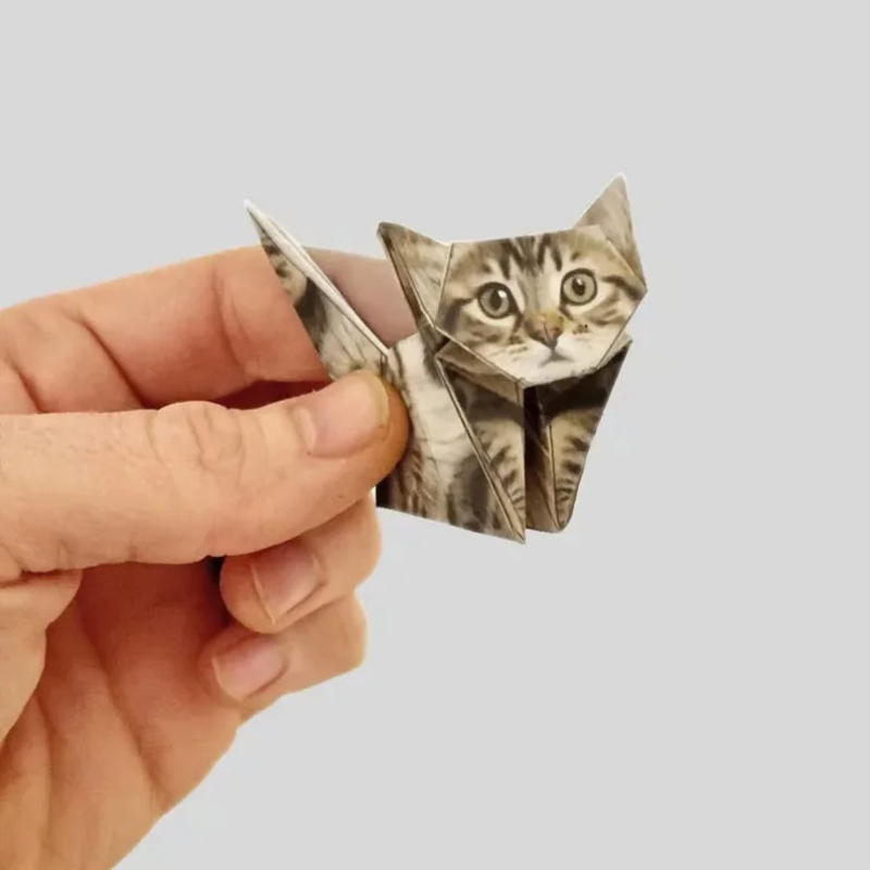 Gatos de Papel Creativos para  - Art Craft Dinosaur reseña y precio