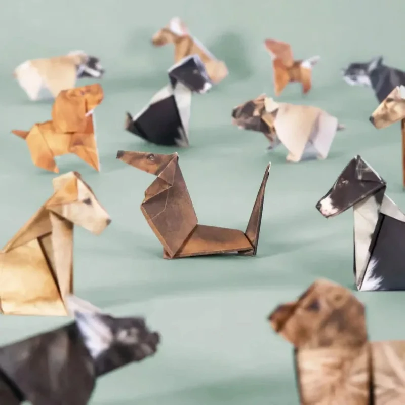Gatos de Papel Creativos para  - Art Craft Dinosaur reseña y precio