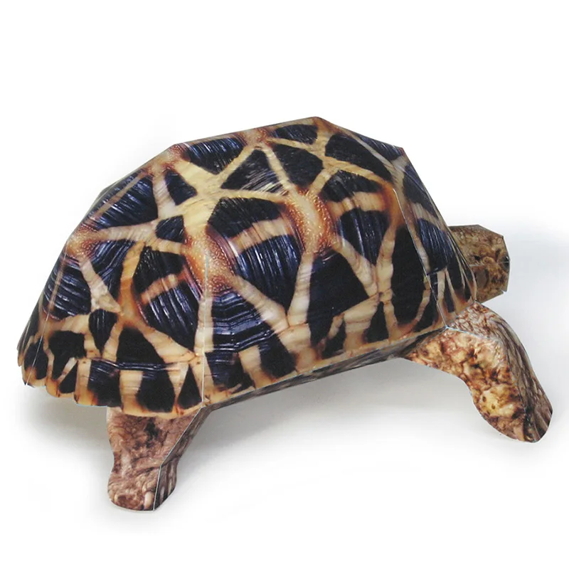 Estrella india tortuga modelo  - Art Craft With Cardboard reseña y precio